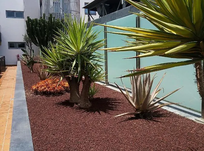 On The * Коральео