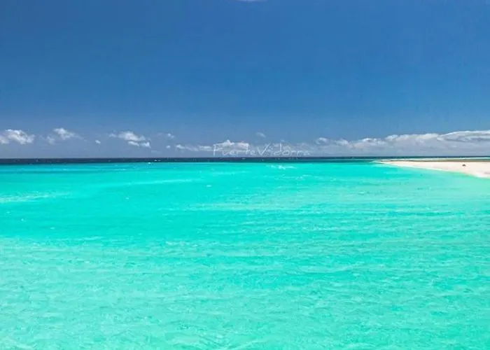 Апартаменты On The *